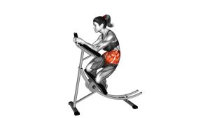 Read more about the article Lever Ab Coaster Oblique Crunch