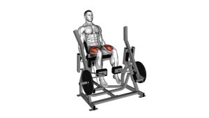 Read more about the article Lever Alternate Leg Extension