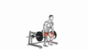 Read more about the article Plate-Loaded Lever Deadlift