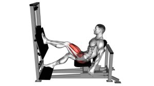 Read more about the article Lever Horizontal One-Leg Press