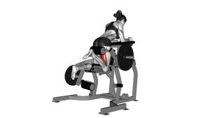 Read more about the article Plate-Loaded Lever Kneeling Leg Curl