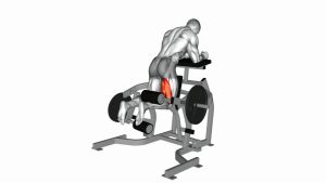 Read more about the article Lever Kneeling Leg Curl