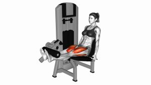 Read more about the article Lever Leg Extension