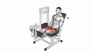 Read more about the article Lever Leg Extension