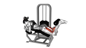 Read more about the article Lever Lying Leg Curl