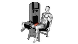 Read more about the article Lever One-Leg Extension