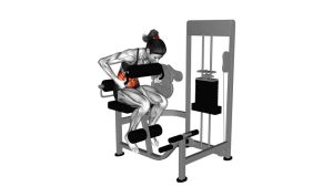 Read more about the article Lever Seated Crunch (Chest Pad)