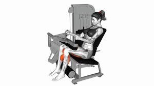 Read more about the article Seated Lever Leg Curl