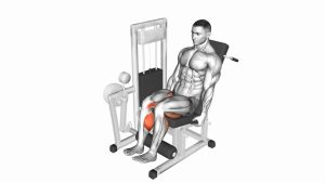 Read more about the article Lever Seated Leg Curl