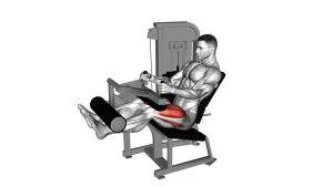 Read more about the article Lever Seated Leg Extension