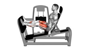 Read more about the article Lever Seated Leg Press