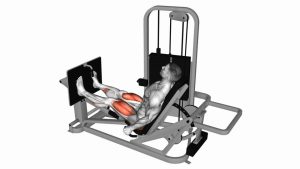 Read more about the article Lever Seated Leg Press