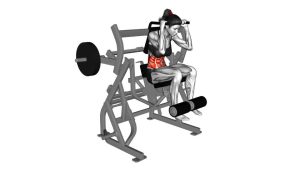Read more about the article Lever Seated Leg Raise Crunch (Plate Loaded)