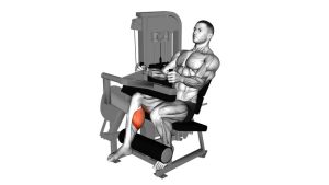 Read more about the article Lever Seated One-Leg Curl
