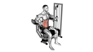 Read more about the article Lever Trunk Rotation