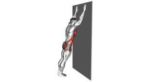 Read more about the article Long Plank Against Wall