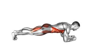 Read more about the article Low Plank Alternating Leg Raise
