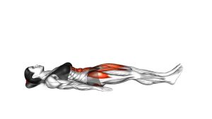 Read more about the article Lying Alternate Bent Leg Raise