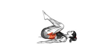Read more about the article Lying Straight Leg Reverse Crunch