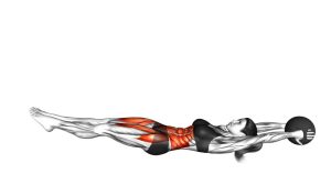 Read more about the article Medicine Ball Alternate V-Up