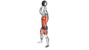 Read more about the article Medicine Ball Slam