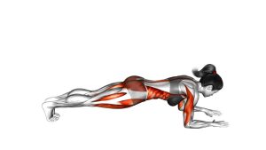 Read more about the article Dynamic Plank Mountain Climber