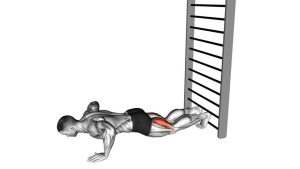 Read more about the article Nordic Hamstring Curl