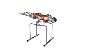 Read more about the article Planche Dip on Parallel Bars