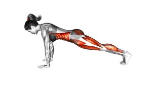 Read more about the article Plank Alternate Knee Tuck