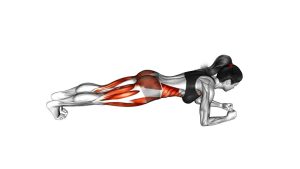 Read more about the article Plank Feet Tap