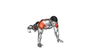 Read more about the article Plank Lateral Raise