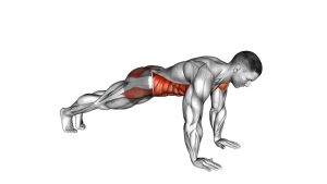 Read more about the article Plank on Hands