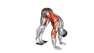 Read more about the article Plank Pike Slide with Towel