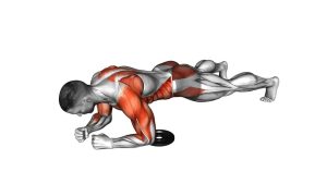 Read more about the article Plank Prone Plate Switch