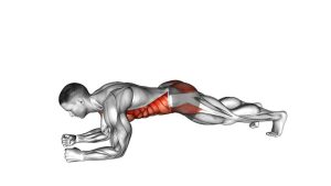 Read more about the article Plank Shoulder Tap