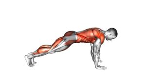 Read more about the article Plank Side Kick Through