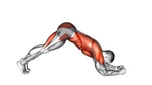 Read more about the article Plank to Pike