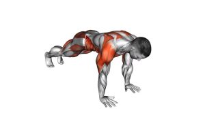 Read more about the article Plank Side Toe Tap