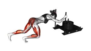 Read more about the article Power Sled Push