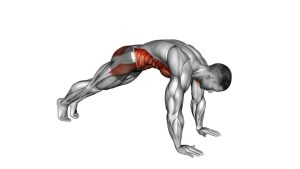Read more about the article Protraction Plank