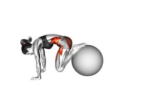 Read more about the article Pull-In on Stability Ball