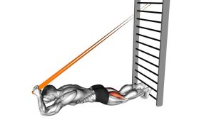 Read more about the article Resistance Band–Assisted Nordic Hamstring Curl