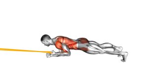 Read more about the article Resistance Band Elbow Plank with Single-Arm Pulldown