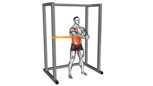Read more about the article Resistance Band Horizontal Pallof Press