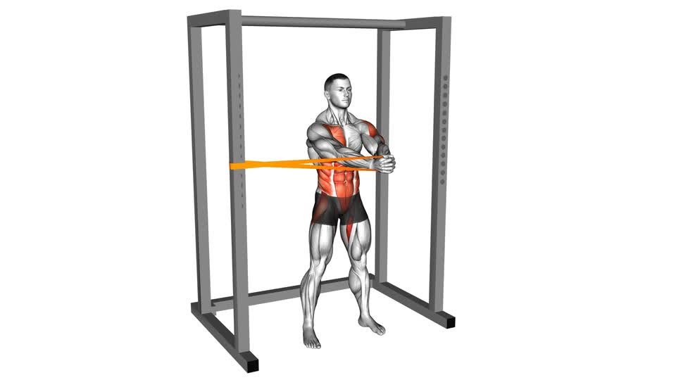 Resistance Band Horizontal Pallof Press - ManiacMuscle