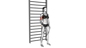 Read more about the article Resistance Band Isometric Biceps Hold