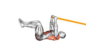 Read more about the article Resistance Band Upper Body Dead Bug