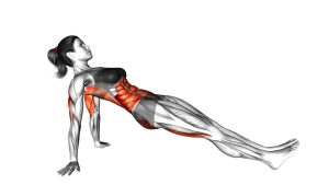 Read more about the article Reverse Plank