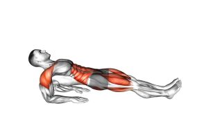 Read more about the article Reverse Plank on Elbows
