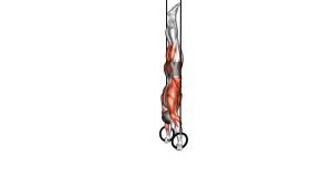 Read more about the article Ring Handstand to L-Sit